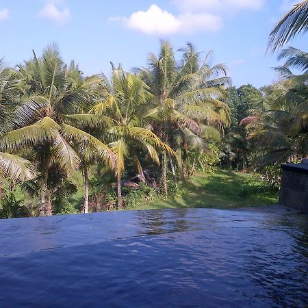 Dewa House Bisma Hotel Ubud  Ngoại thất bức ảnh