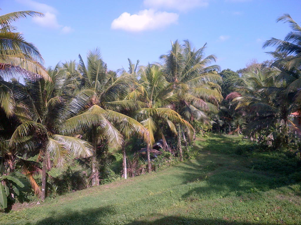 Dewa House Bisma Hotel Ubud  Ngoại thất bức ảnh