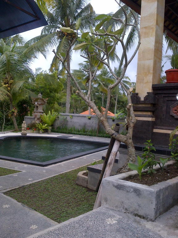 Dewa House Bisma Hotel Ubud  Ngoại thất bức ảnh